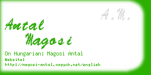 antal magosi business card